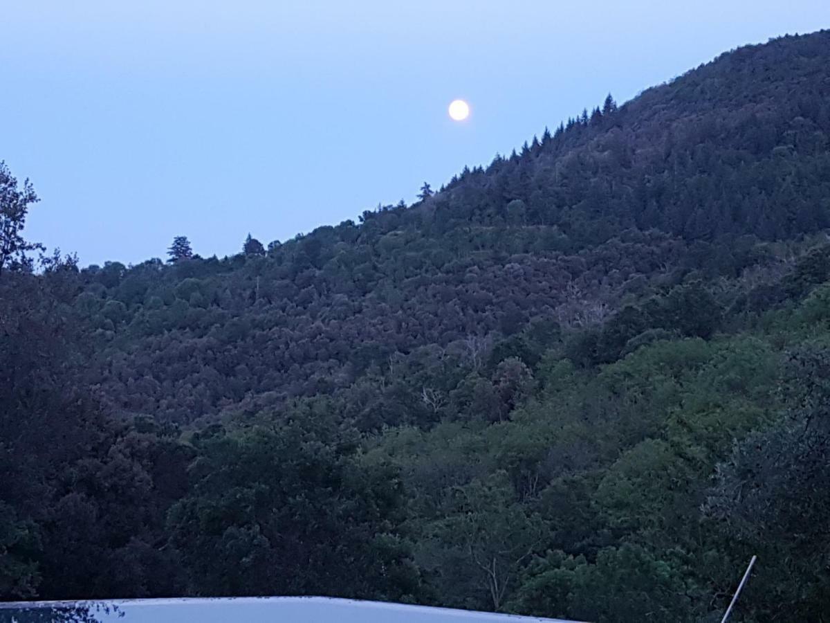 El Solei Paraiso En El Montseny Arbúcies Exteriér fotografie