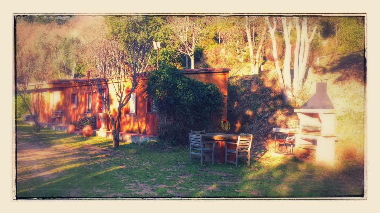 El Solei Paraiso En El Montseny Arbúcies Exteriér fotografie