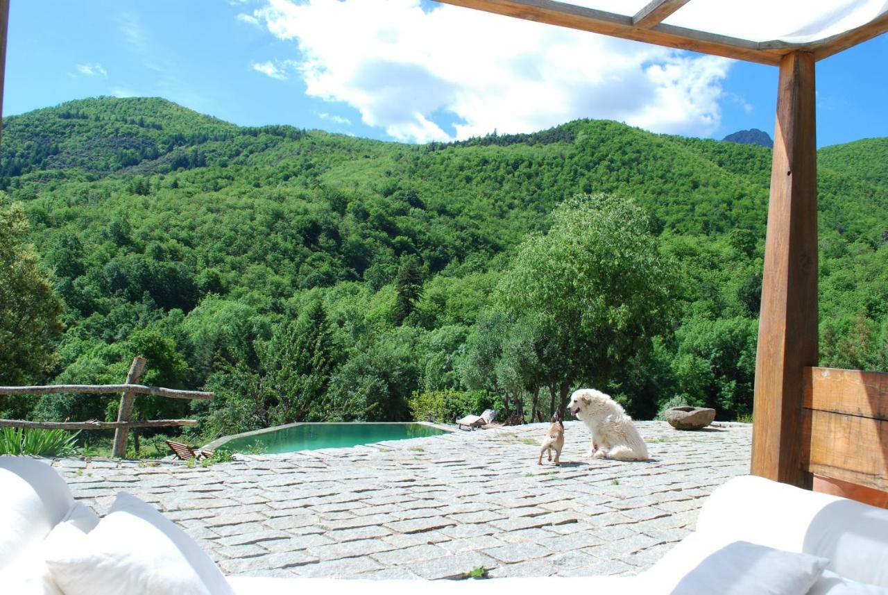 El Solei Paraiso En El Montseny Arbúcies Exteriér fotografie
